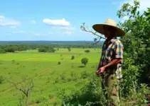 Cerrado em Pé