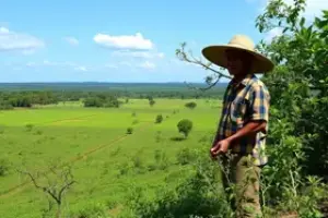 Cerrado em Pé