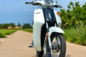 Nova Dafra Zig 50 2025