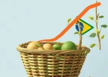 preço da cesta básica