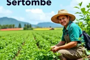 Hortolândia oportunidades de emprego